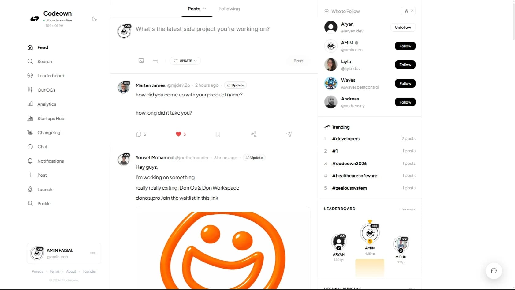 Codeown website preview