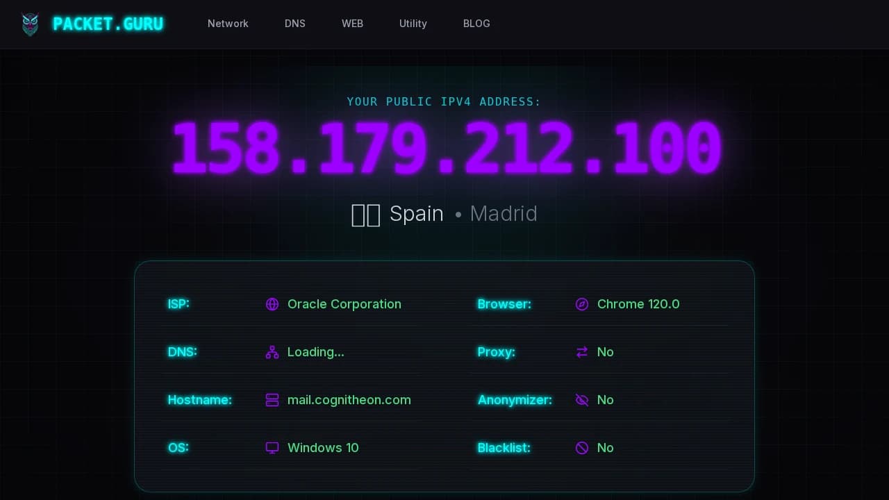packet.guru website preview