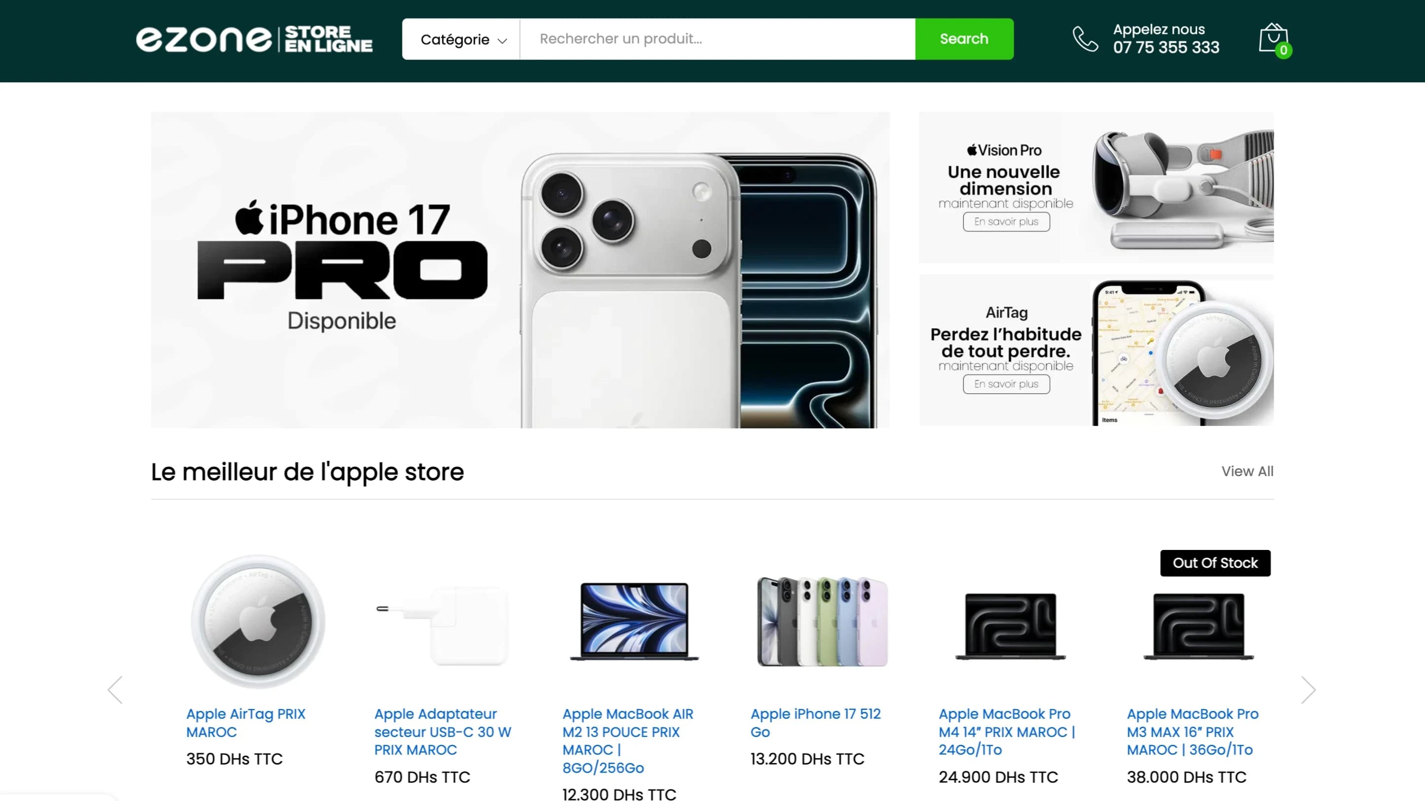 ezone website preview