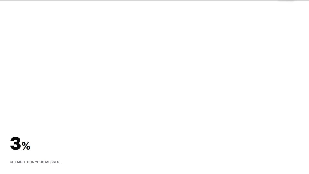 mulerun.com website preview