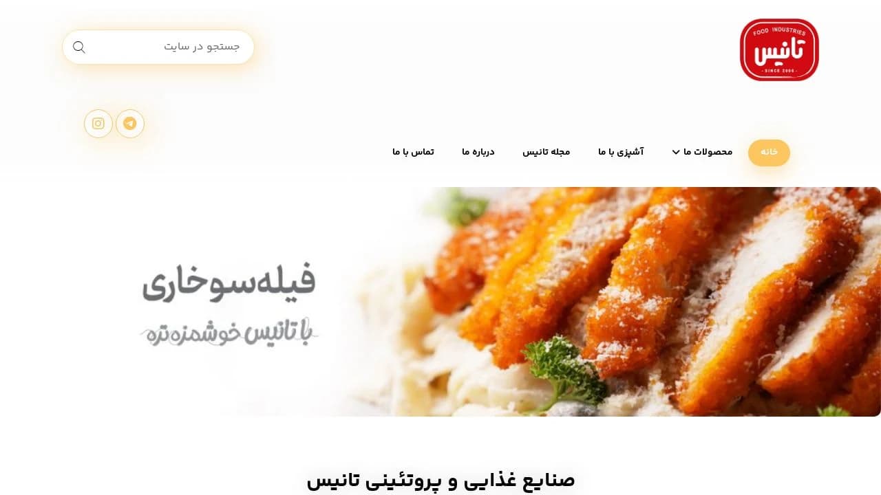 Tanis website preview
