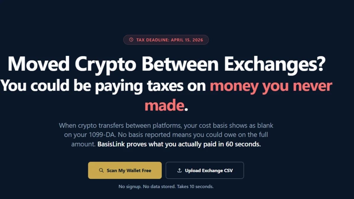 Basislink website preview