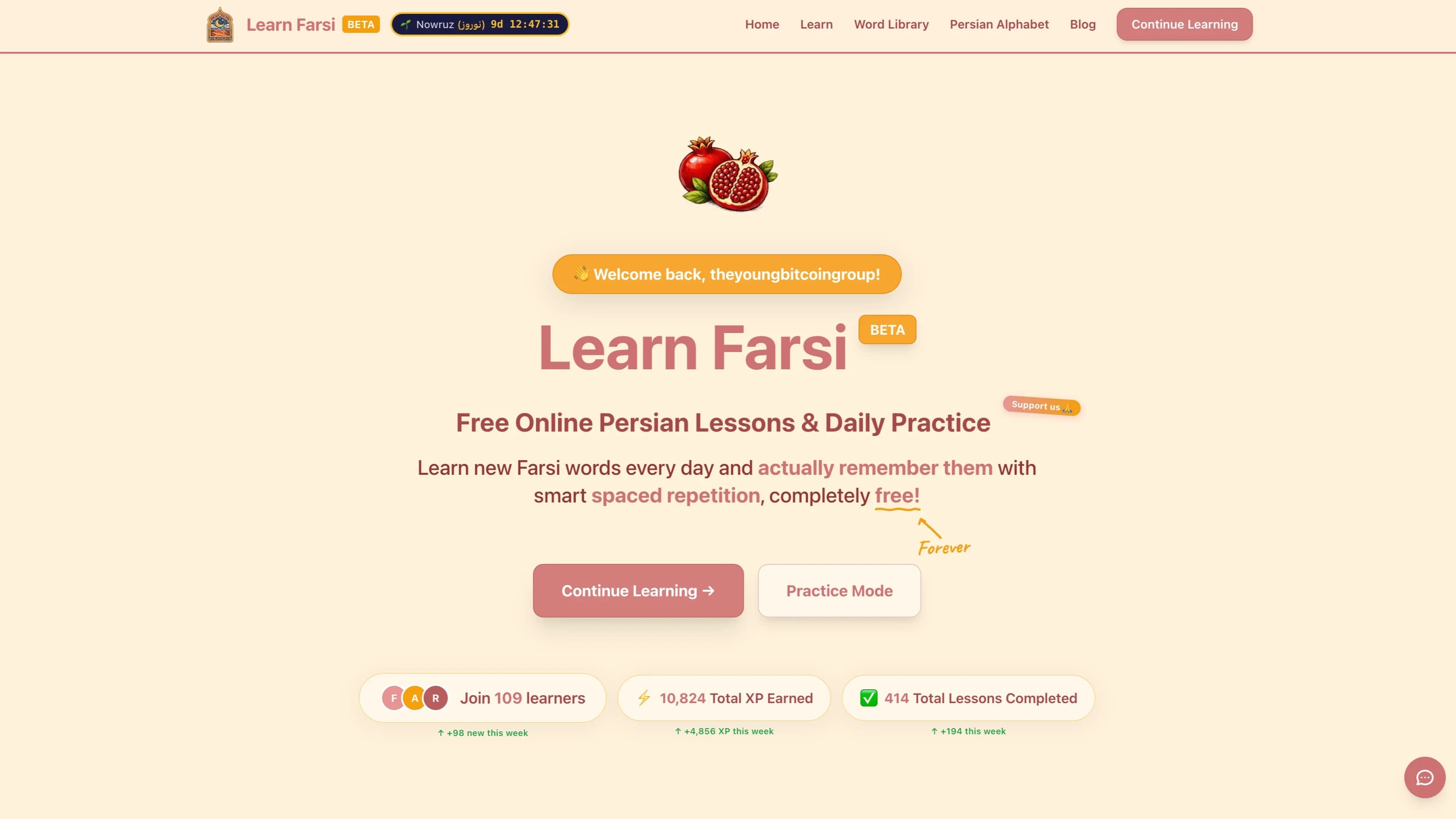 Learn Farsi website preview