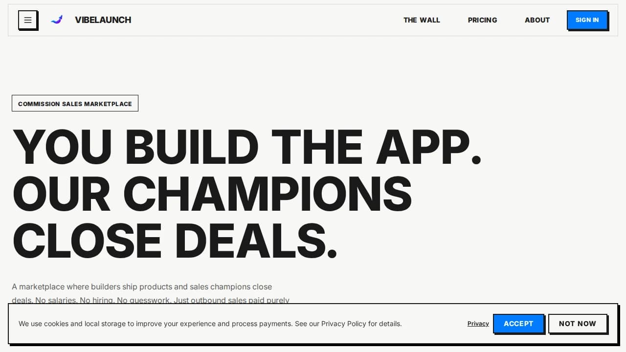 VibeLaunch website preview