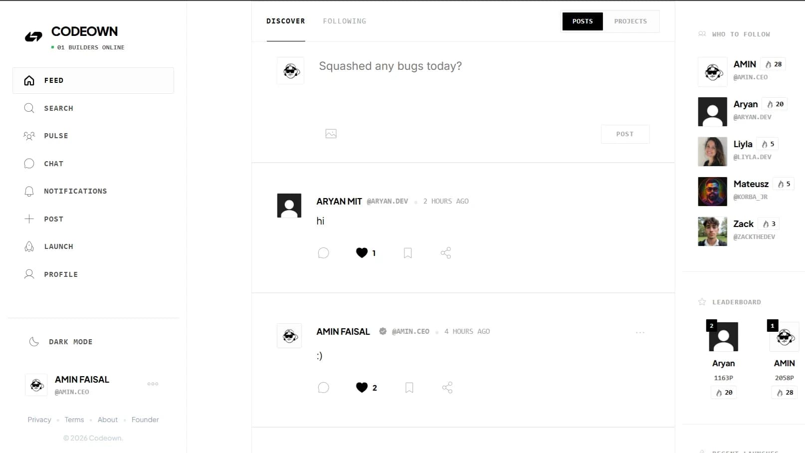 Codeown website preview