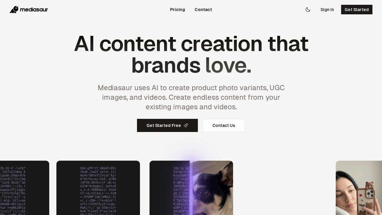 Mediasaur website preview