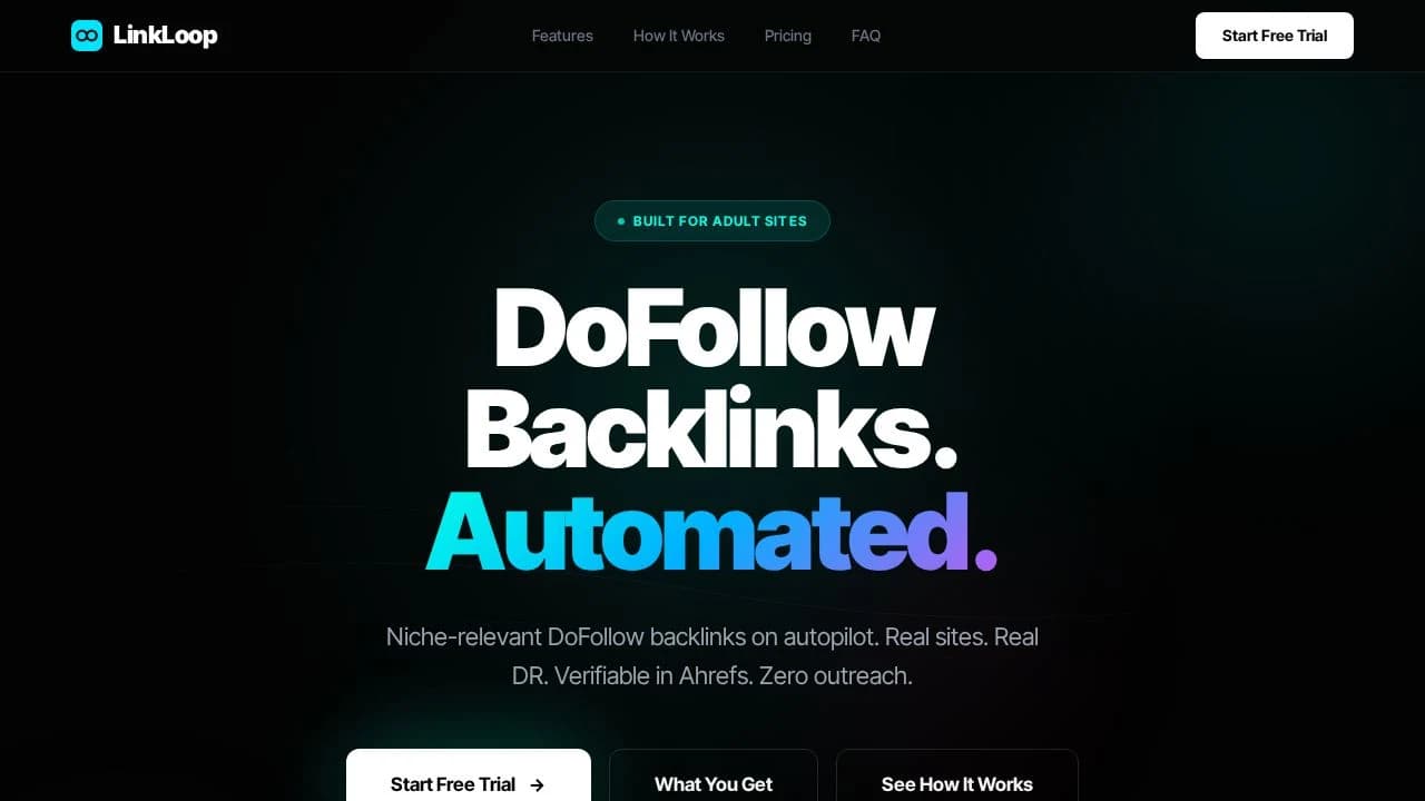 LinkLoop website preview