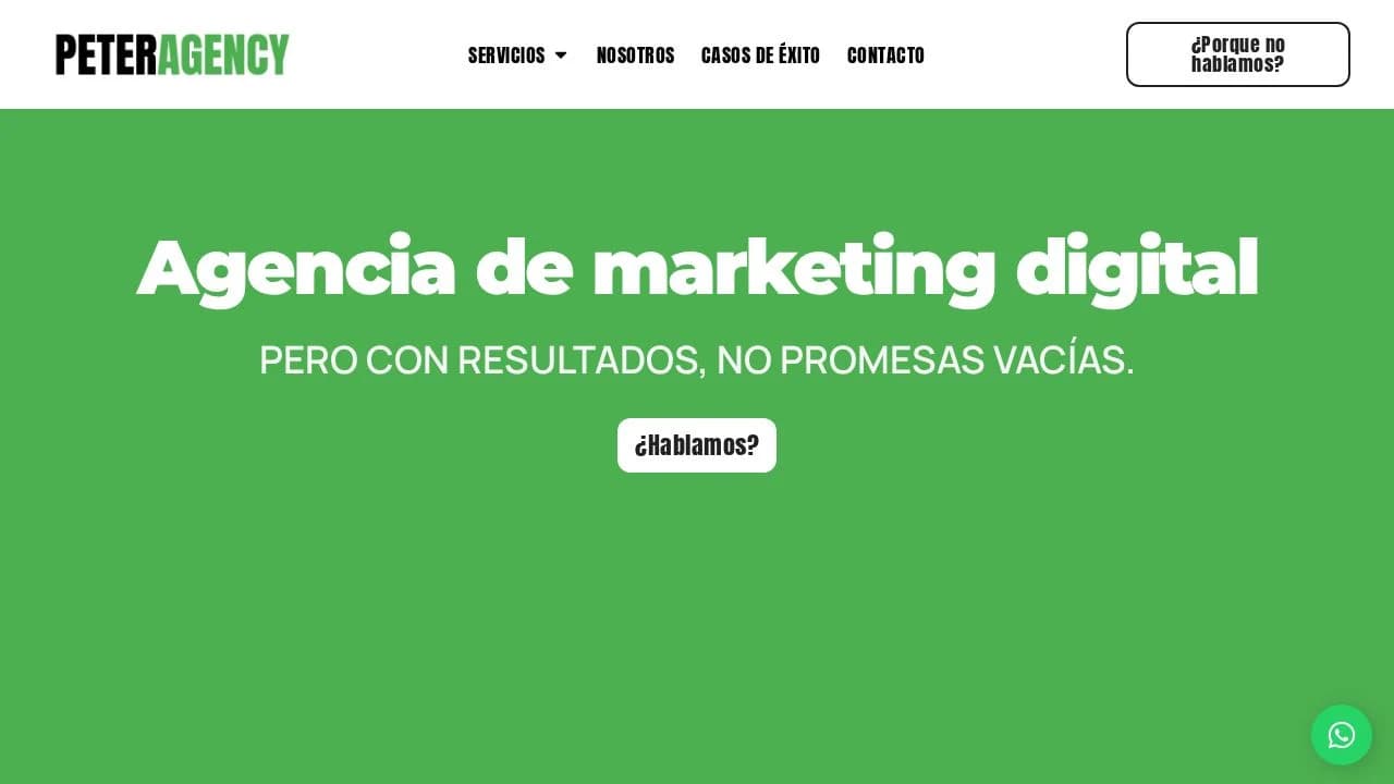 Peter Agency website preview