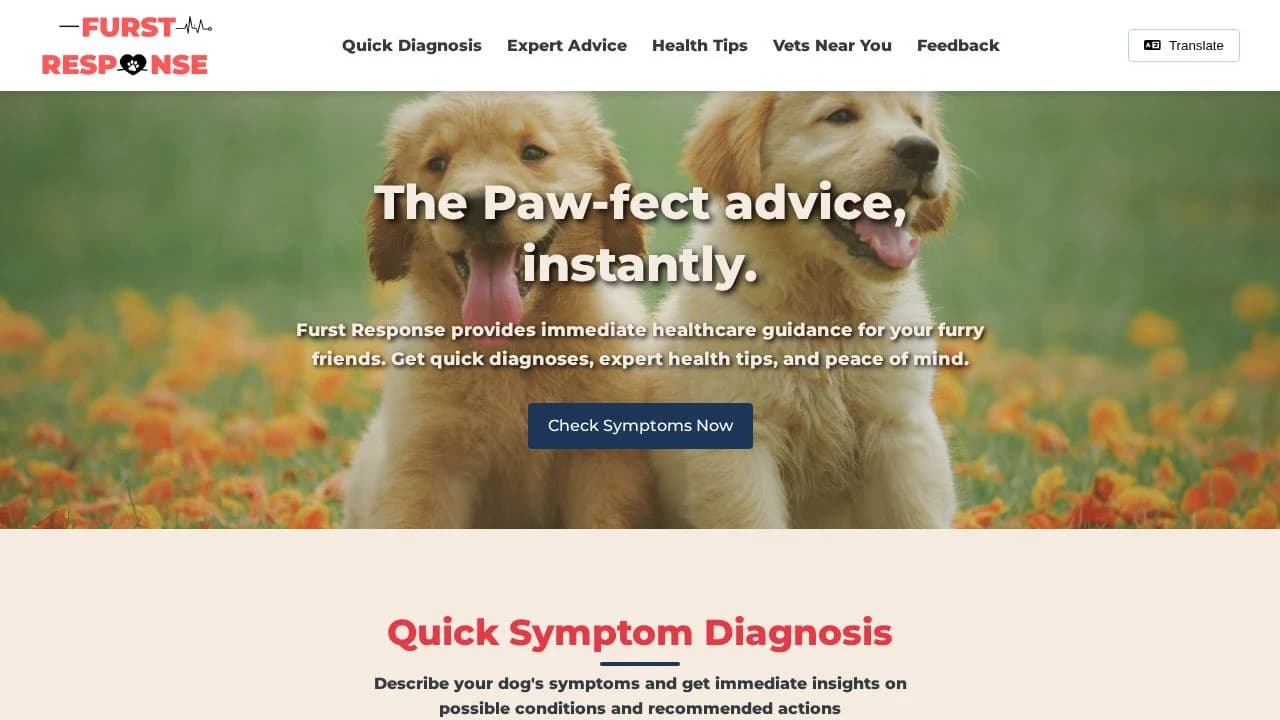 Furst Response website preview