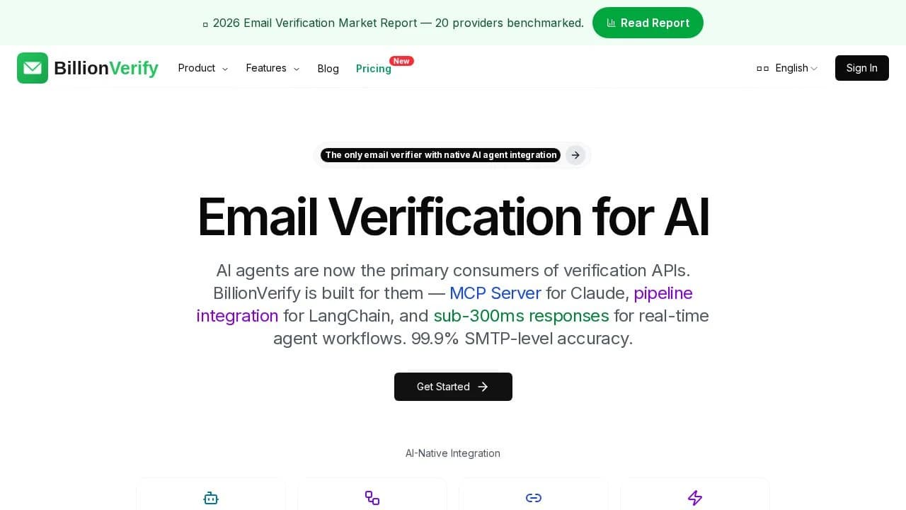 BillionVerify website preview