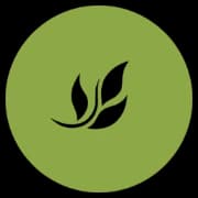 Mindful Family