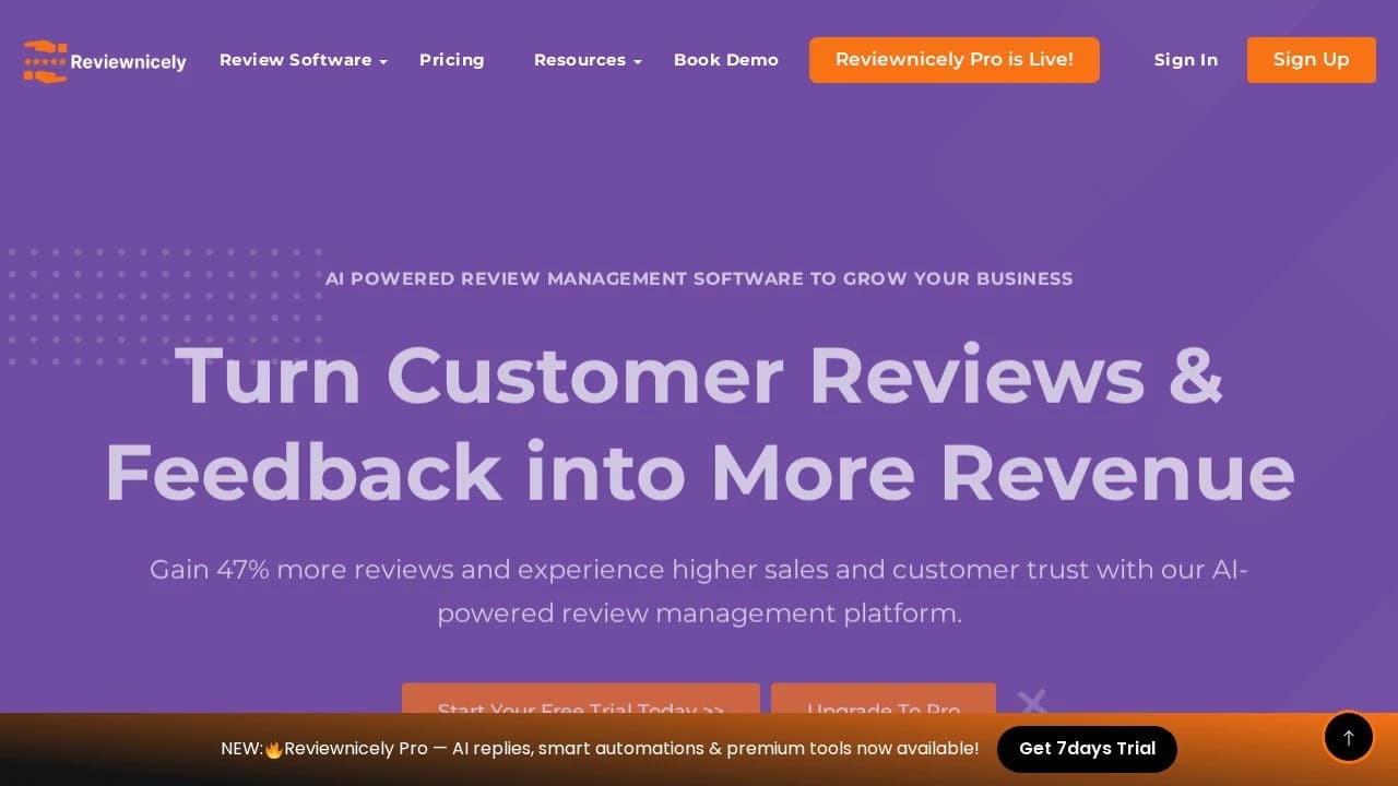 Reviewnicely website preview