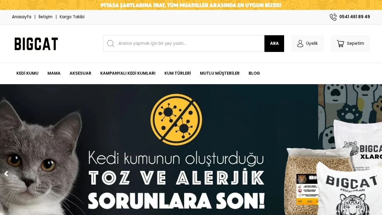 Bigcat website preview