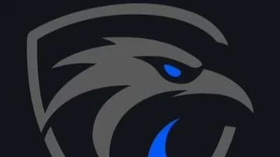 securelic website preview