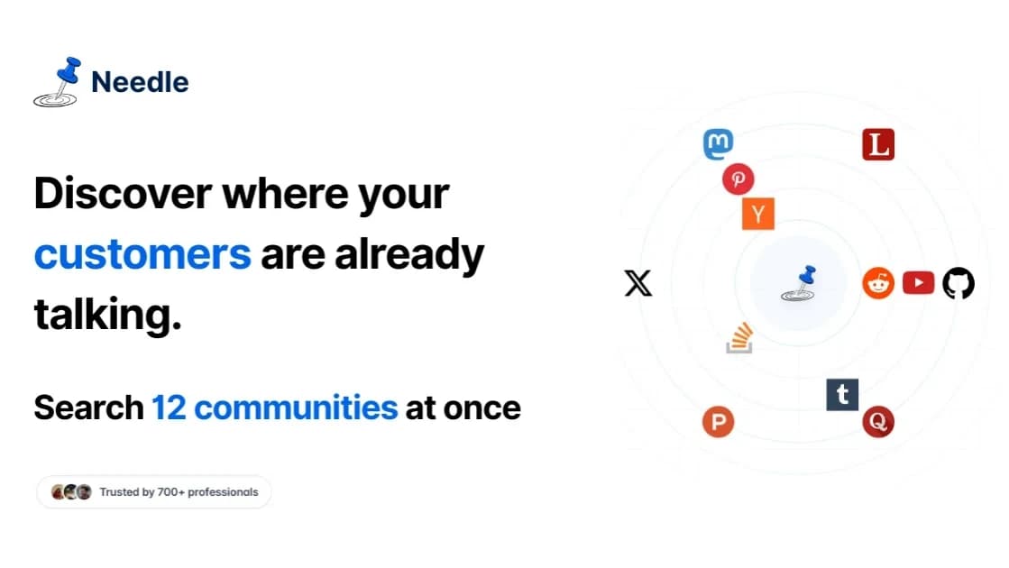 Needle website preview