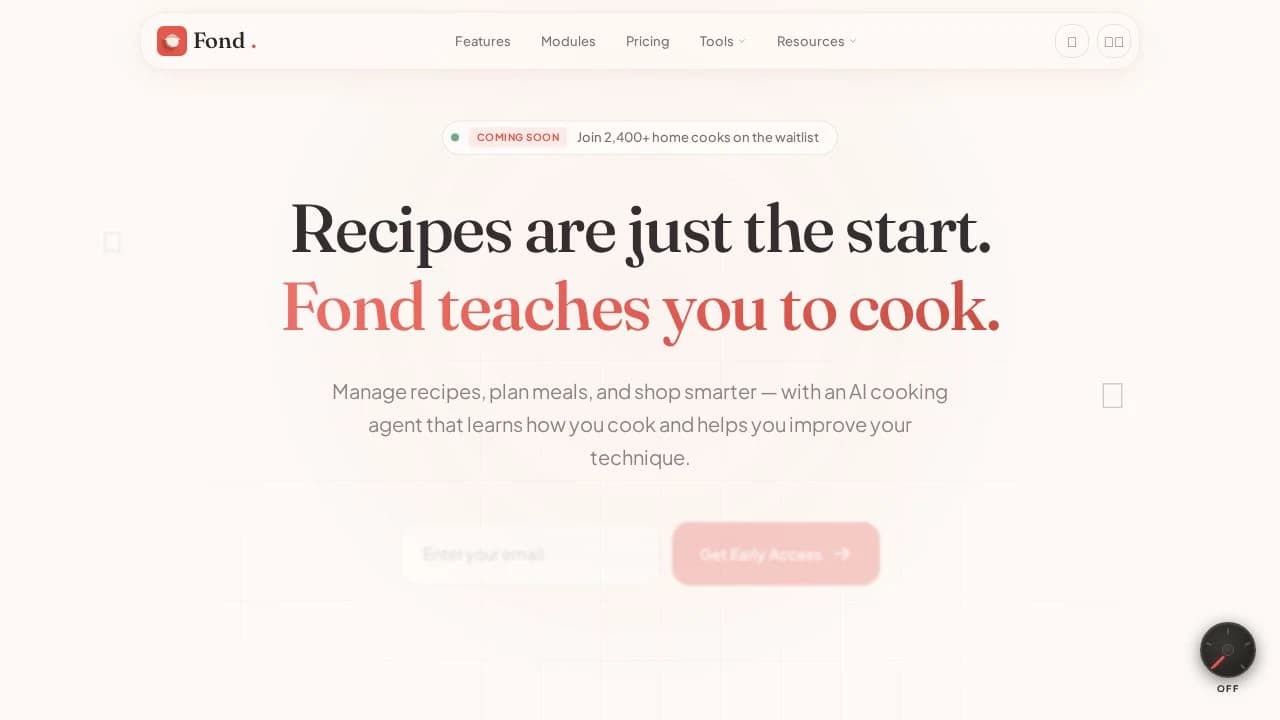 Fond website preview