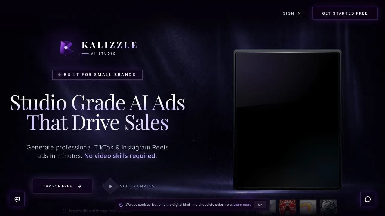Kalizzle website preview