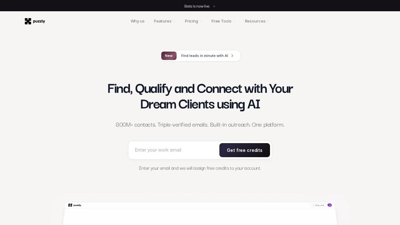 Puzzly AI website preview