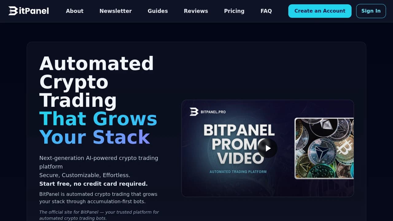 BitPanel website preview