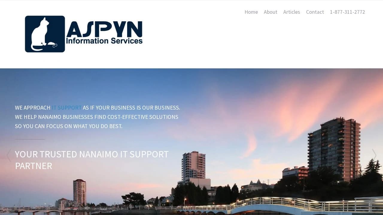 Aspyn Information Services website preview