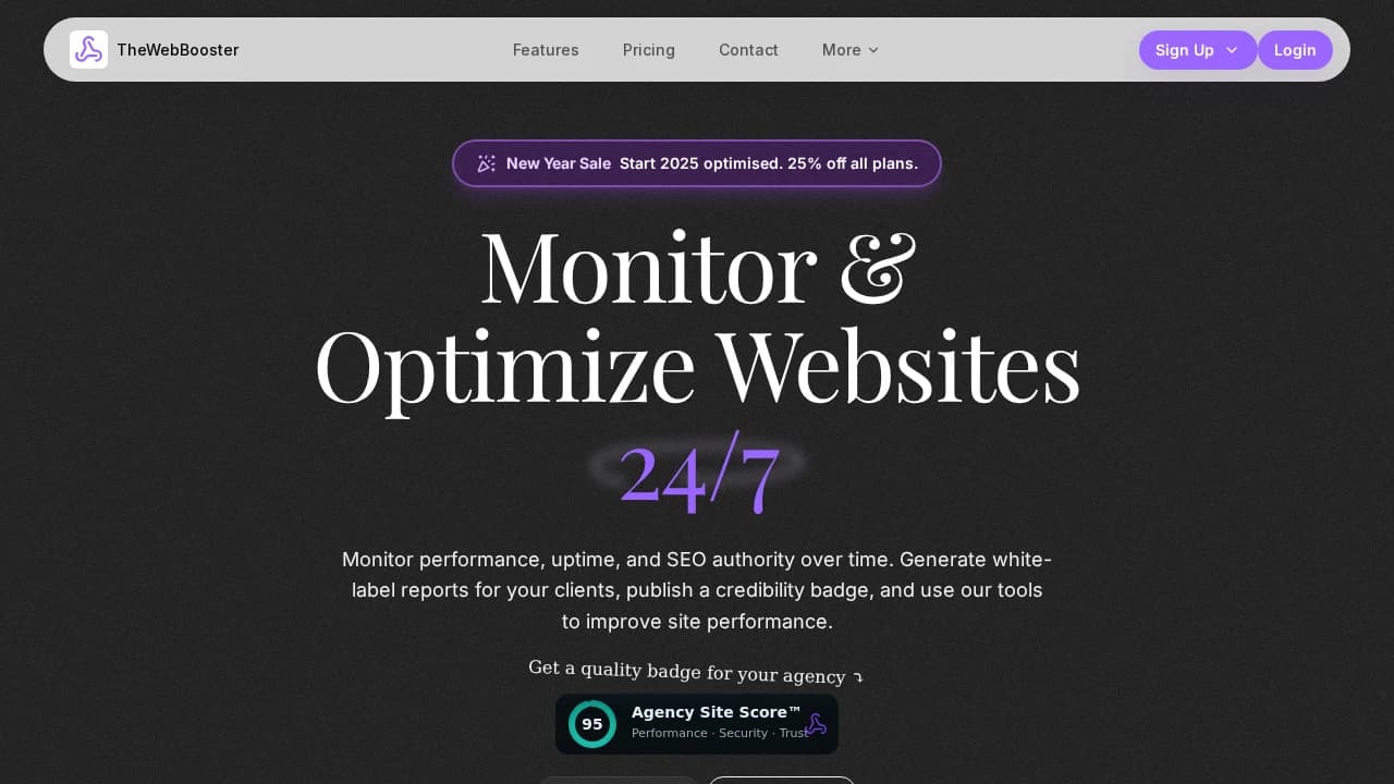 TheWebBooster preview