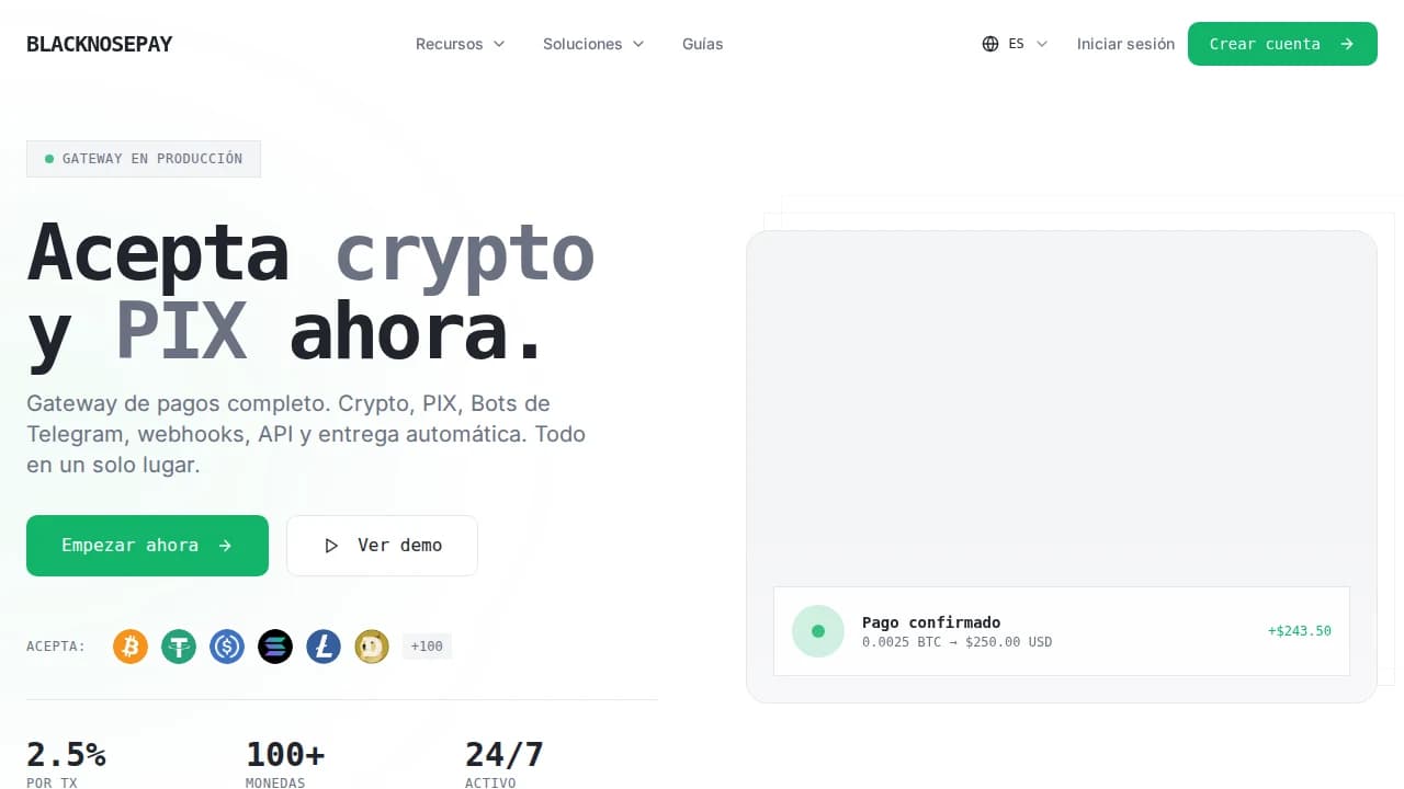 BlackNosePay website preview