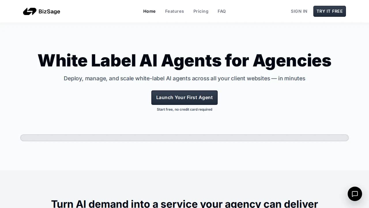 BizSage website preview